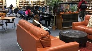 Chairs in LIbrary 